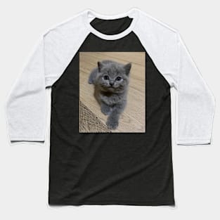 the blue cute cats Baseball T-Shirt